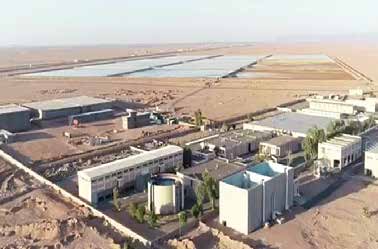 Homaimah ,Ha’il — KSA