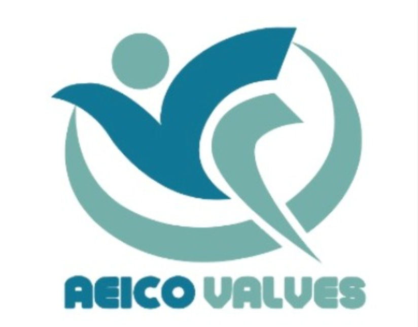 Aeico Valves Branch